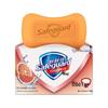 Safeguard Multi-Scent Shower Gel & Soap Combo
