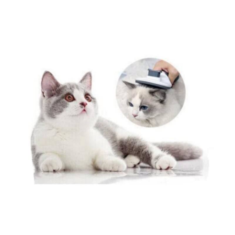 Pet Epilasyon Fırçası Köpek Saç Tarak Paslanmaz Çelik Otomatik Saç Solma Kedi Tarak Pet Temizlik Bakım Malzemeleri
