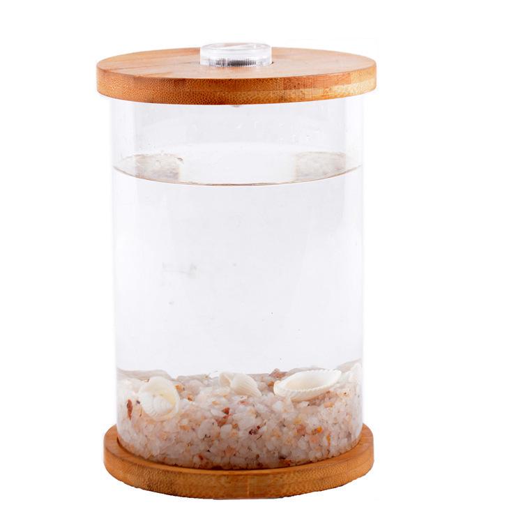Eco-Friendly Mini Fish Micro-Landscape Aquarium: No-Water-Change Desktop Tank for Betta Fish