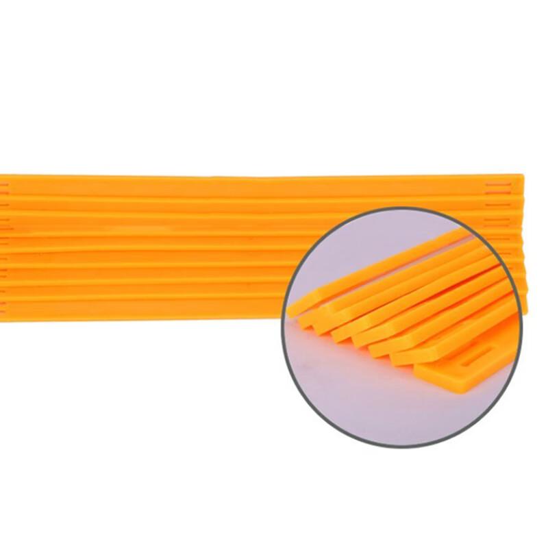 Speed & Agility Training Ladder