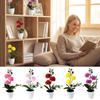 Small Ball Chrysanthemum Artificial Flower Bonsai Multicolor Photo Props Faux Chrysanthemum Flowerpotted Plastic