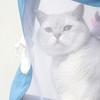 Cartoon Pet Carrier Bag Breathable Pet Outing Shoulder Bag Portable Cats Dogs Tote Bag  Summer