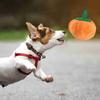 Hundeplüschtier Niedliche Kürbisform Quietschend Bissfest Gefülltes Hundeplüschtier zum Zähneknirschen