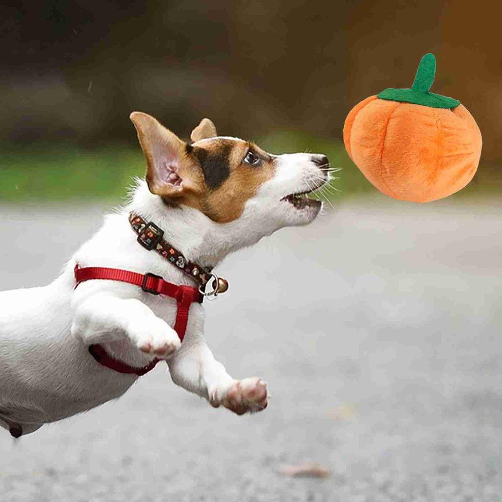 Hundeplüschtier Niedliche Kürbisform Quietschend Bissfest Gefülltes Hundeplüschtier zum Zähneknirschen