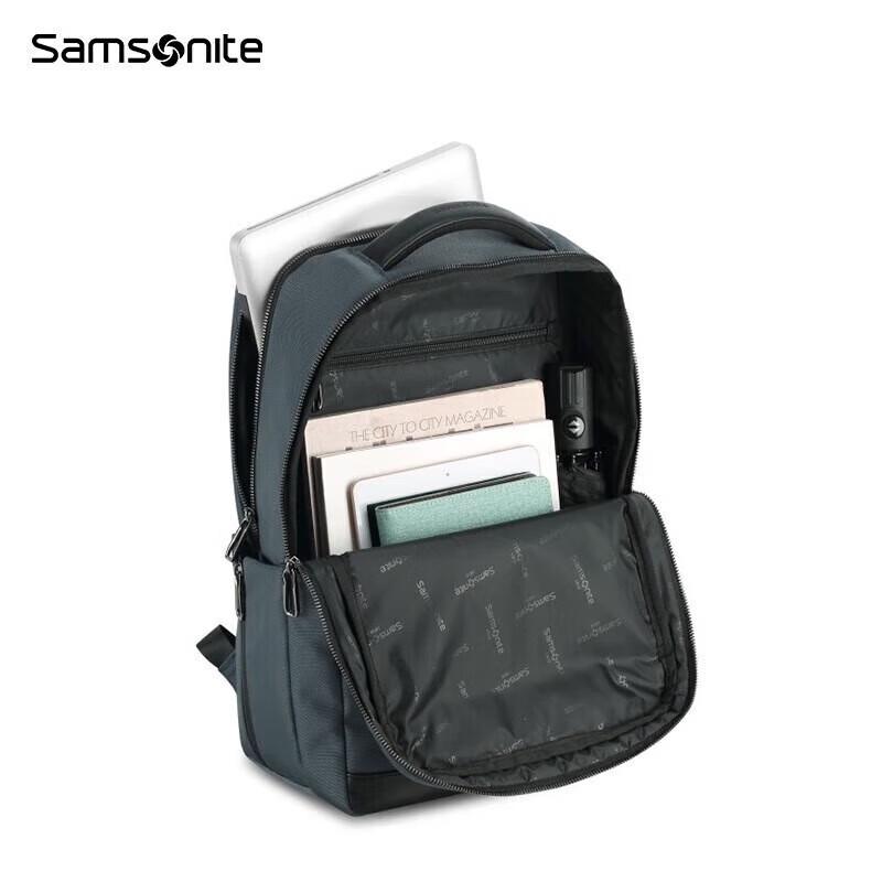 Samsonite Business Travel Backpack