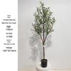 Olive Tree Potted Plant - Indoor Decor Simulation for Living Room