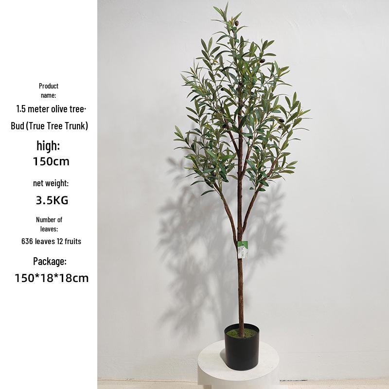 Olive Tree Potted Plant - Indoor Decor Simulation for Living Room