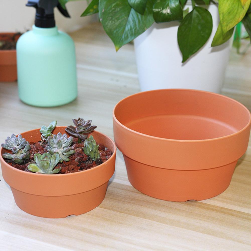 Vaso Fiorito Succulente Piante in Vaso Mini Fioriere Decorazione Ufficio Giardino Accessori Casa EL