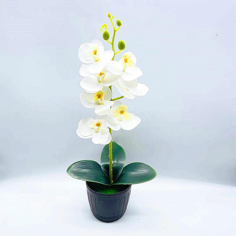 Phalaenopsis Artificial Aphrodite Rchb Potted Plant  For Gift And Interior Decor