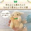Yonekichi Rabbit Stuffed Toy Chibikichi Floppy Ears Fluffy Small Child Rabbit