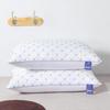 Luxury Five-Star Hotel Feather Velvet Pillows - Non-Collapsible Gift Pair for Home
