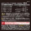 Carmate GIGA F2800 Series HB4 3000K Bright Yellow Fog Vehicle Inspection BW5121 Lights, 1400lm, Compliant, 3-Year Warranty,