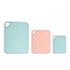 Zhi Shi 3-Piece Square Plastic Chopping Board Set
