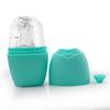 Soft Rubber Ice Cube Facial Ice Pack To Reduce Swelling, Massage Face Ice Mask, Rose Silicone Face Ice Mask, Ice