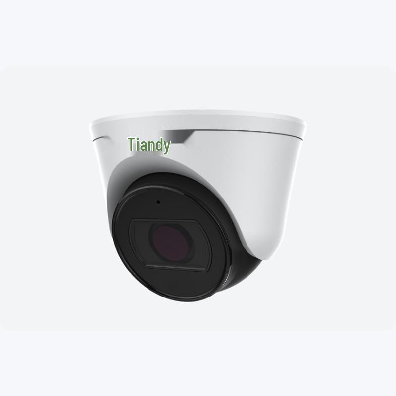 

TIANDYTECH 5MP Starlight Infrared Face Capture Dome Camera CN plug (adapter included)