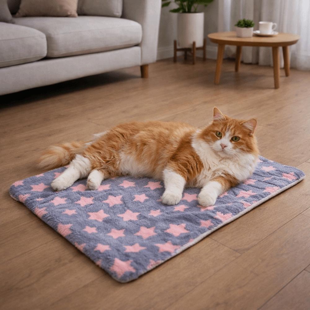 Skin-friendly Thickened Dog Sofa Mat Star Pattern Warm Pet Bed Pad Soft Comfortable Dog Kennel Mat Autumn Winter