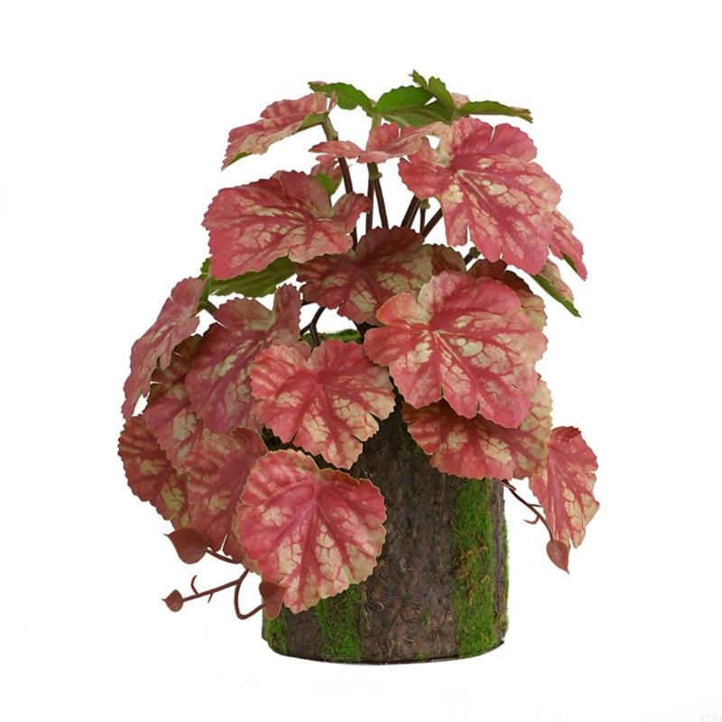 KX4B Dekoracja Akwarium Roślina Terrarium Rośliny Dekoracyjne do Zbiornika Rybnego dla Siedliska Płazów Jaszczurek