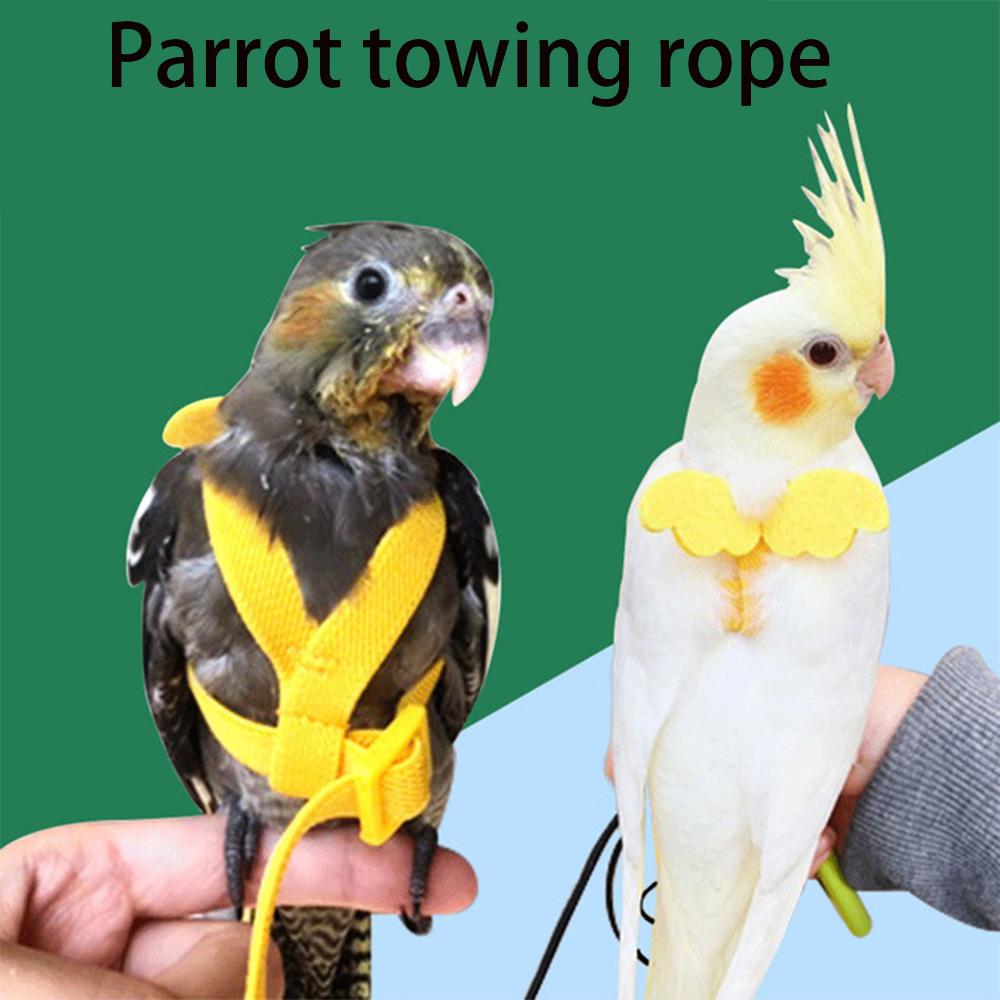 

Medium Birds Rope With Wing Bird Harness Bird Traction Belt Bird Nylon Flight Training Rope Bite 1PC-lake blue