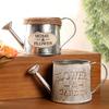 Vintage Letters Engraved Garden Bonsai Plant Flower Iron Watering Can Pot Kettle for Garden Small Garden Tools Supplies
