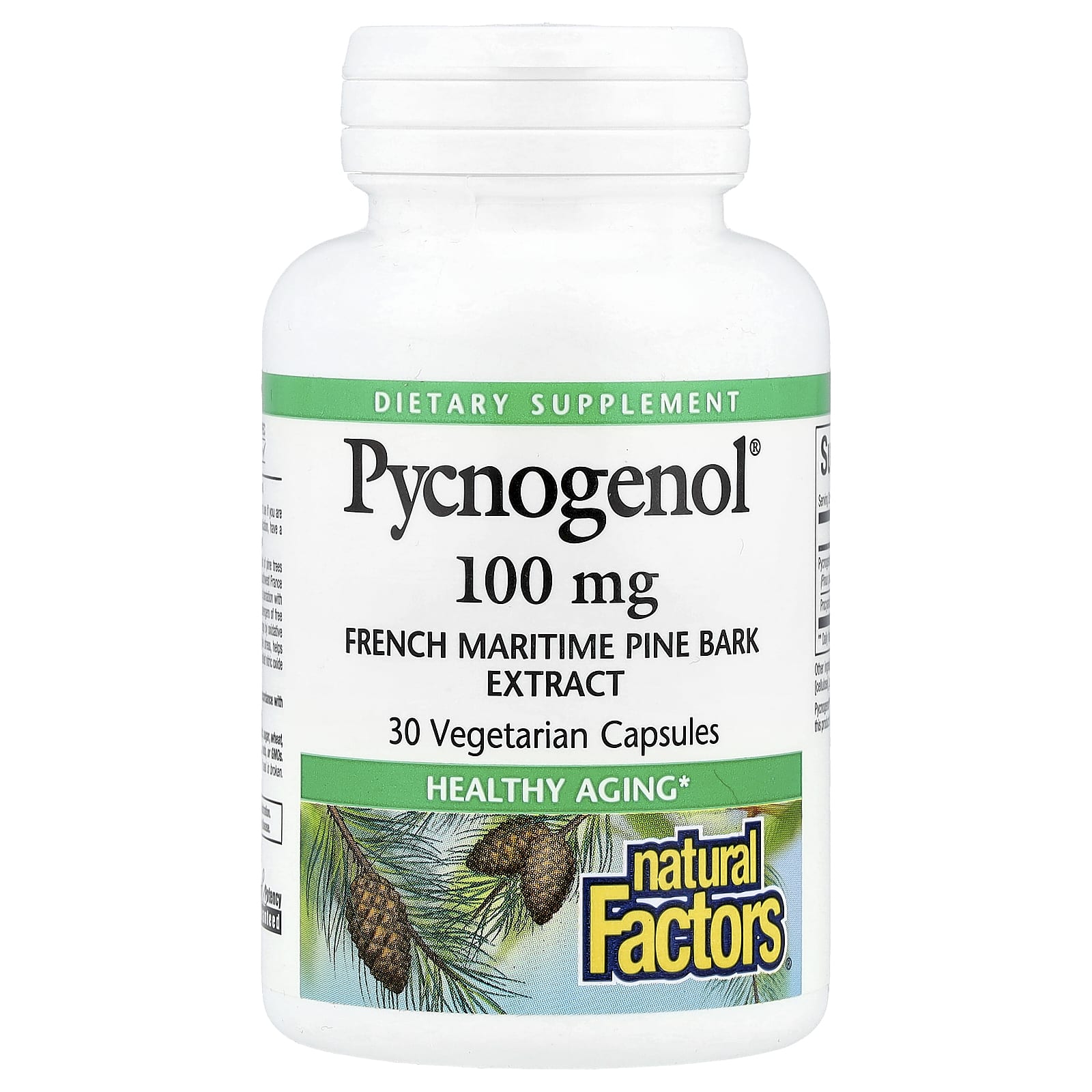 

Pycnogenol, 100Mg, 30 Veggie Caps
