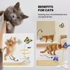 Electronic Toy Interactive Butterfly Automatic Stimulating Toys For Indoor Cats