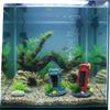 Simulation Fish Tank Decoration Natural Look Resin Telephone Booth Decoration Retro Artificial Aquarium Ornament Aquarium Setup