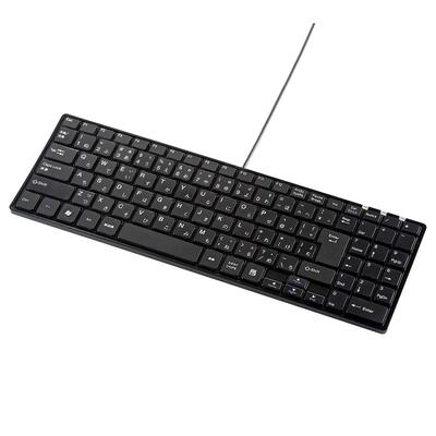 Sanwa Supply Kabelgebundene Slim-Tastatur, leise Tasten, USB-A-Anschluss, japanisches Layout, 102 Tasten, Pantograph, SKB-SL19BK