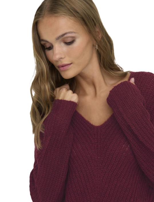 Only Jdy - Women' Sweater - Jdynew Megan / Pullover Knt Noos 15208245 Cabernet/W.Black P