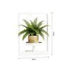 Contemporary Wall Flower Shelf White Metal Plant Display For Inside Outside Area deck 1 Piece