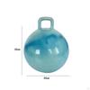 , Children's Toy with Handle, Gymnastic Ball 55 Cm Diameter, Garden Game for Boys And Girls,
