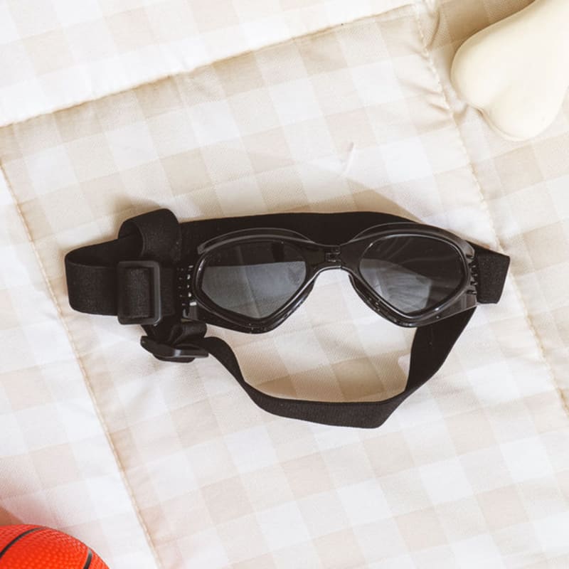 [Pet] Foldable Goggles