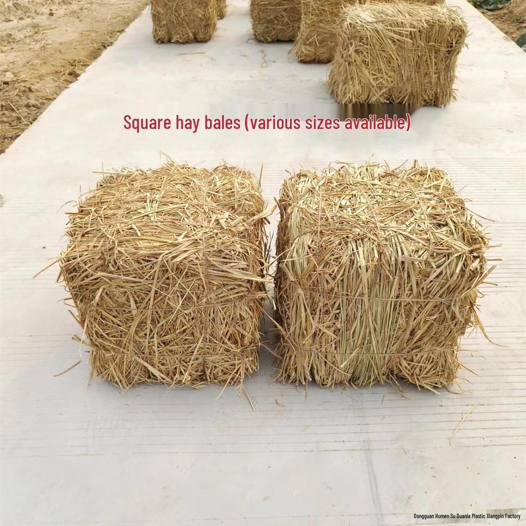 Square Round Hay Bale: Farmhouse Straw Decoration and Photo Prop