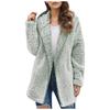 Autumn and Winter Casual Solid Colour Lapel Hooded Long-sleeved Women Plush Sweater Fleece Jacket