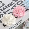 Carnation Flower Aromatherapy Mold Gypsum DIY Candle Diffuse Stone Handmade Soap Decoration Silicone Mold CDN