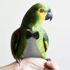 Washable Parrot Diaper Bird Flight Suit Reusable Lightweight Breathable Skin-Friendly Cloth Perfect Fit for Small To Medium