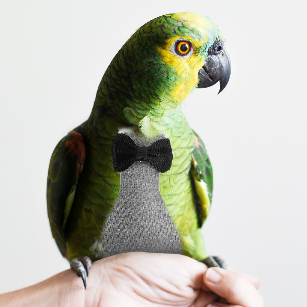 Washable Parrot Diaper Bird Flight Suit Reusable Lightweight Breathable Skin-Friendly Cloth Perfect Fit for Small To Medium