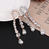 Niche Rhinestones Fringe Earrings Fashion Simple Light Luxury Earrings Gift For Women Banquet Jewelry Accessories