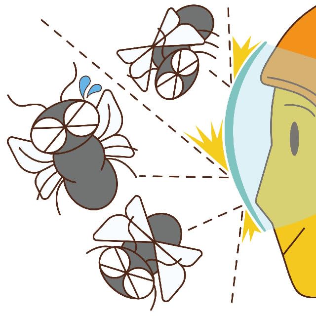 Kawasumi Seisakusho Bicycle Helmet with Shield Black H-103BK