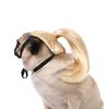 Are 10 Here Suggested Titles For The Pet Wig Product Based On The Information Provided
