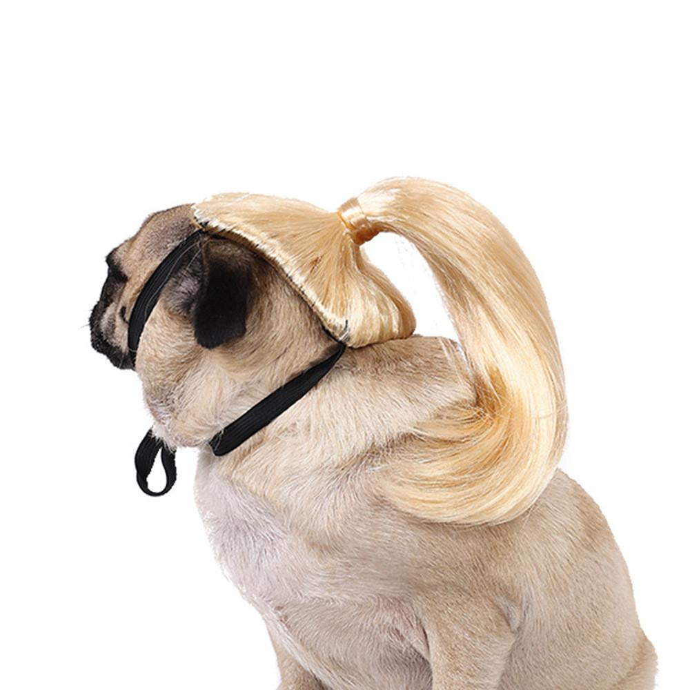 Are 10 Here Suggested Titles For The Pet Wig Product Based On The Information Provided