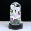 Art Four Seasons Mini Color Mini Dome White Preserved Flowers