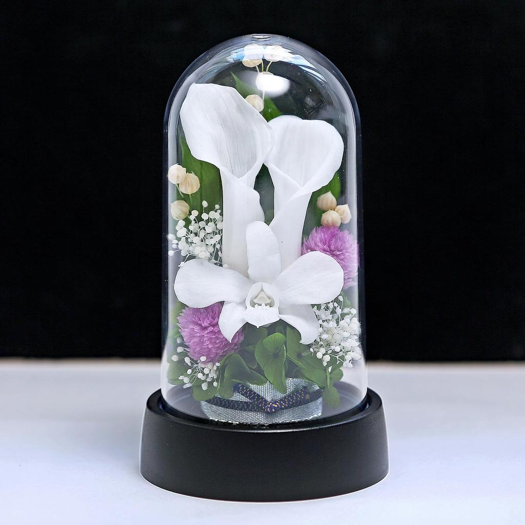 Art Four Seasons Mini Color Mini Dome White Preserved Flowers