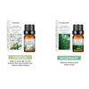 Dissolve Aromatherapy Essential Oils, Plant Essential Oils, Perfume Oils, Perfume Essential Oils, Aromatherapy Essential Oils for Humidifier