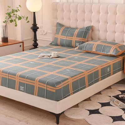 Fitted Sheet Home Bed Cover Summer Spring Winter Mattress Covers With Elastic (Without Pillowcase)