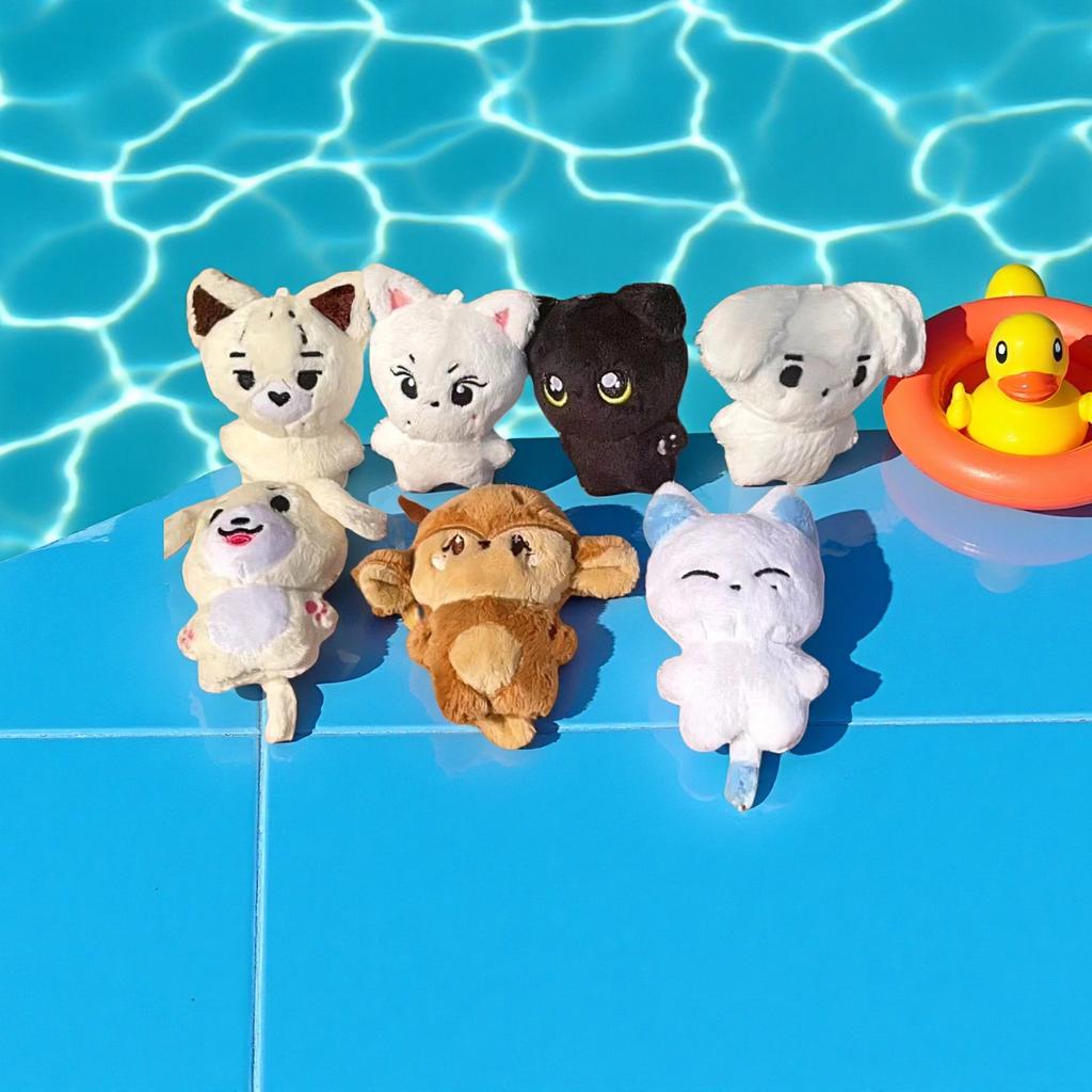 JUNGWON HEESEUNG JAY JAKE SUNGHOON Kpop Plush Stuffed Toys Keyring Kawaii Cartoon Pendant Accessories Bag Fans Gift