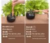 Succulent Planting Tool Set: Gardening Supplies & Bonsai Tools with Watering Can