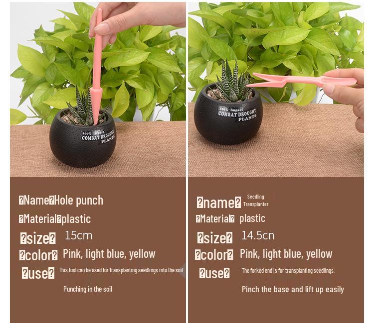Succulent Planting Tool Set: Gardening Supplies & Bonsai Tools with Watering Can