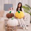 Creative Pumpkin Throw Pillow: Plush Indoor Cushion & Backrest for Sofa, Living Room, or Bay Window Decoration