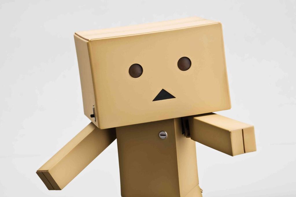 Revoltech Danbo Repair (makeup Box)