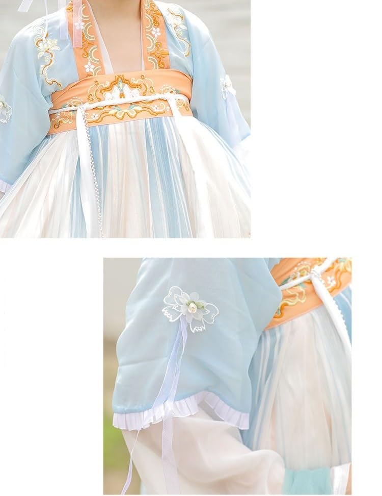 [Hosaku Co., Ltd.] Women's Ancient Chinese Tang Dynasty Hanfu Costume, Cosplay, Photoshoot Costume, Classic Beauty Outfit, Halloween, Stage Performanc